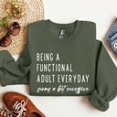  Being A Functional Adult Funny Sarcastic College Life Motto Humorous Quote Wardrobe Essential Sweatshirt