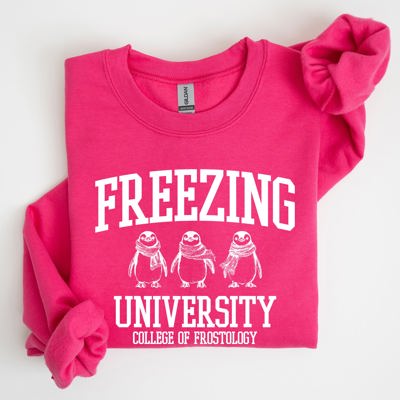 Freezing University Whimsical Penguins Winter Cozy Snowy Landscape For Cold Day Sweatshirt