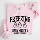 XXL Light Pink Freezing University Whimsical Penguins Winter Cozy Snowy Landscape For Cold Day Sweatshirt