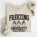 Small Sand Freezing University Whimsical Penguins Winter Cozy Snowy Landscape For Cold Day Sweatshirt