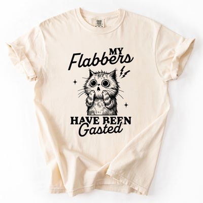 My Flabbers Have Been Gasted, Flabbergasted Cat Sass And Sarcasm Comfort Colors Tee