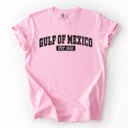 XXXL Blossom Light Pink Retro Gulf Of Mexico Varsity Vintage Established 1550 Heritage Edition Premium Comfort Colors Tee