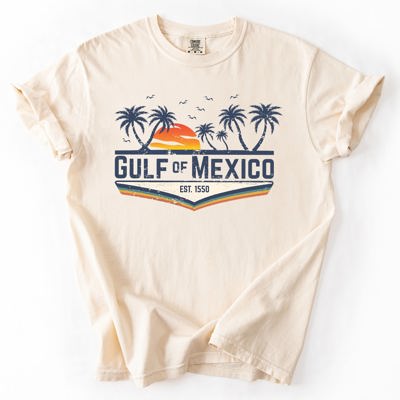 Retro Gulf of Mexico Vintage Established 1550 Birds Beach Palm Trees Comfort Colors Tee