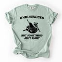  Undiagnosed, But Something Ain't Right, Raccoon Illustrated Graphic Comfort Colors Tee