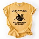  Undiagnosed, But Something Ain't Right, Raccoon Illustrated Graphic Comfort Colors Tee