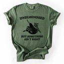  Undiagnosed, But Something Ain't Right, Raccoon Illustrated Graphic Comfort Colors Tee