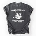  Undiagnosed, But Something Ain't Right, Raccoon Illustrated Graphic Comfort Colors Tee