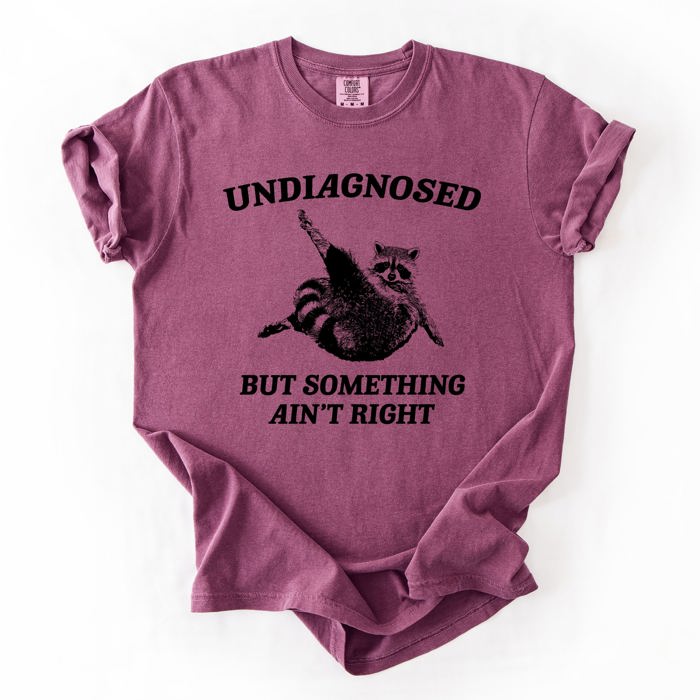 Undiagnosed, But Something Ain't Right, Raccoon Illustrated Graphic Comfort Colors Tee