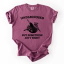 XL Berry Red Undiagnosed, But Something Ain't Right, Raccoon Illustrated Graphic Comfort Colors Tee