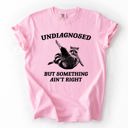 XXL Blossom Light Pink Undiagnosed, But Something Ain't Right, Raccoon Illustrated Graphic Comfort Colors Tee