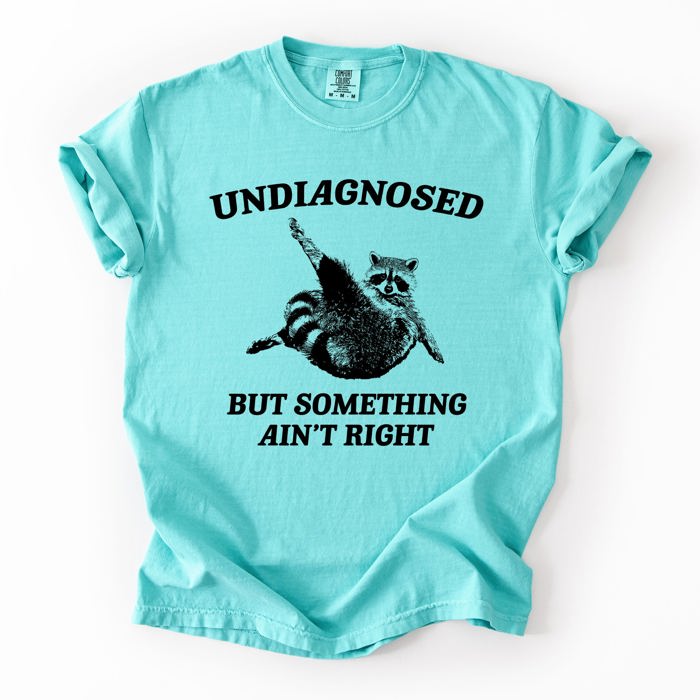 Undiagnosed, But Something Ain't Right, Raccoon Illustrated Graphic Comfort Colors Tee
