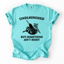 Medium Chalky Mint Undiagnosed, But Something Ain't Right, Raccoon Illustrated Graphic Comfort Colors Tee