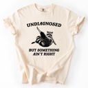 Large Ivory Cream Undiagnosed, But Something Ain't Right, Raccoon Illustrated Graphic Comfort Colors Tee
