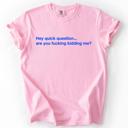 Large Blossom Light Pink Hey Quick Question, Are You Kidding Me, Vulgar, Sassy, Sarcastic, Minimalist, Funny Comfort Colors Tee