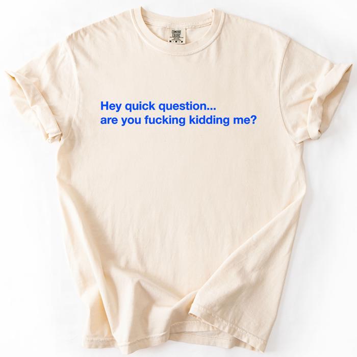 Hey Quick Question, Are You Kidding Me, Vulgar, Sassy, Sarcastic, Minimalist, Funny Comfort Colors Tee