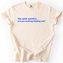 Large Ivory Cream Hey Quick Question, Are You Kidding Me, Vulgar, Sassy, Sarcastic, Minimalist, Funny Comfort Colors Tee