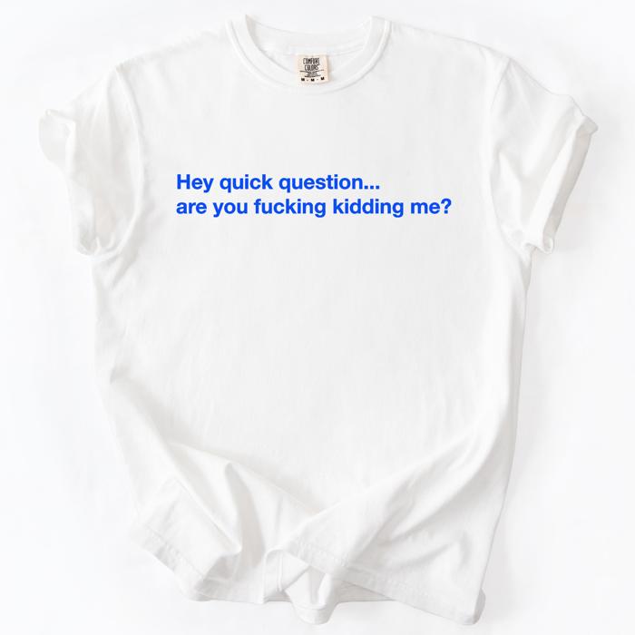Hey Quick Question, Are You Kidding Me, Vulgar, Sassy, Sarcastic, Minimalist, Funny Comfort Colors Tee