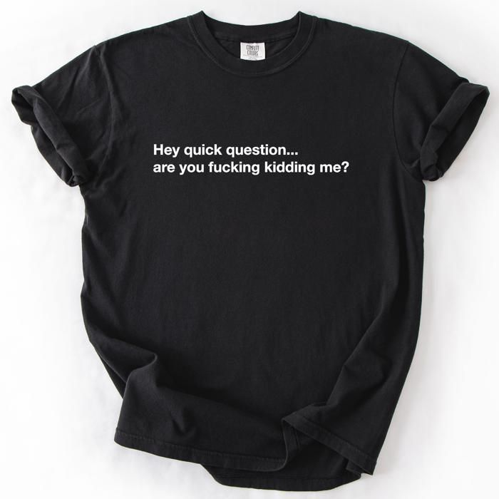 Hey Quick Question, Are You Kidding Me, Vulgar, Sassy, Sarcastic, Minimalist, Funny Comfort Colors Tee