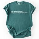 XXXL Blue Spruce Green Hey Quick Question, Are You Kidding Me, Vulgar, Sassy, Sarcastic, Minimalist, Funny Comfort Colors Tee