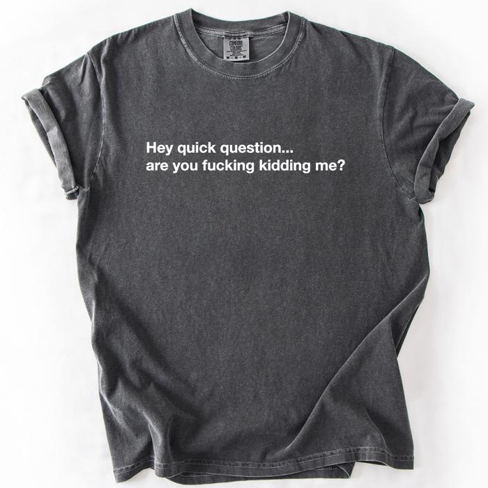 Hey Quick Question, Are You Kidding Me, Vulgar, Sassy, Sarcastic, Minimalist, Funny Comfort Colors Tee