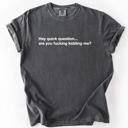 Small Pepper Dark Gray Hey Quick Question, Are You Kidding Me, Vulgar, Sassy, Sarcastic, Minimalist, Funny Comfort Colors Tee