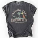  Joshua Tree National Park Desert Vistas Camping And Hiking Adventure Landscape Illustration Comfort Colors Tee