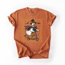  Funny Halloween Goose With Black Cat Witch Checkered Scene Artwork Comfort Colors Tee