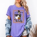 Large Violet Purple Funny Halloween Goose With Black Cat Witch Checkered Scene Artwork Comfort Colors Tee