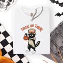 Medium White Raccoon Trick Or Treat Halloween Spooky Nighttime Illustration Artwork Comfort Colors Tee