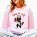 XXXL Light Pink Raccoon Trick Or Treat Halloween Spooky Cozy Nighttime Autumn Theme Seasonal Fun Sweatshirt