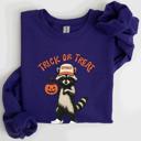Medium Purple Raccoon Trick Or Treat Halloween Spooky Cozy Nighttime Autumn Theme Seasonal Fun Sweatshirt