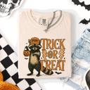 XXXL Ivory Cream Trick or Treat Raccoon Halloween Mischief With Skeletons Ghosts Cats And Pumpkins Comfort Colors Tee