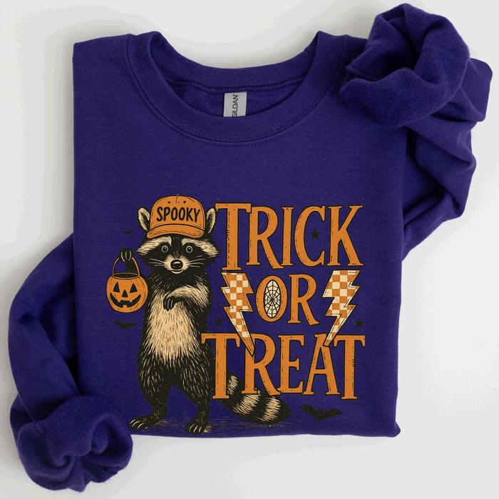 Trick Or Treat Raccoon Halloween Spooky Cozy Premium Graphic Edition Soft Warm Everyday Sweatshirt