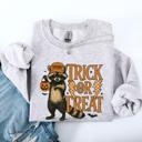 XXL Ash Light Gray Trick Or Treat Raccoon Halloween Spooky Cozy Premium Graphic Edition Soft Warm Everyday Sweatshirt