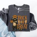 XXL Dark Gray Heather Trick Or Treat Raccoon Halloween Spooky Cozy Premium Graphic Edition Soft Warm Everyday Sweatshirt