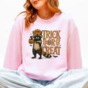 XL Light Pink Trick Or Treat Raccoon Halloween Spooky Cozy Premium Graphic Edition Soft Warm Everyday Sweatshirt