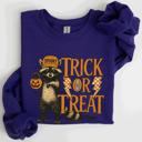 Small Purple Trick Or Treat Raccoon Halloween Spooky Cozy Premium Graphic Edition Soft Warm Everyday Sweatshirt