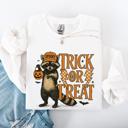 Large White Trick Or Treat Raccoon Halloween Spooky Cozy Premium Graphic Edition Soft Warm Everyday Sweatshirt