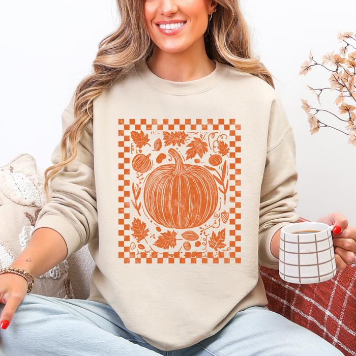 Checkered Pumpkin Minimalist Autumn Harvest Motif Cozy Seasonal For Fall Wardrobe Sweatshirt