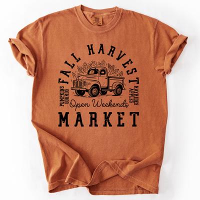 Fall Harvest Market Checkered Pumpkin Graphic Vintage Varsity Inspired Comfort Colors Tee