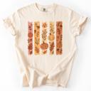 XXXL Ivory Cream Fall Brush Stroke Floral Pumpkin Harvest Edition Autumn Collection Comfort Colors Tee