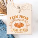 XXXL Ivory Cream Fall Brush Stroke Floral Pumpkin Motif With Delicate Floral Pattern Autumn Harvest Comfort Colors Tee