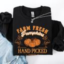 XXL Black Farm Fresh Pumpkins Hand Picked Halloween Fall Autumn Sweatshirt