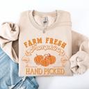 Medium Sand Farm Fresh Pumpkins Hand Picked Halloween Fall Autumn Sweatshirt