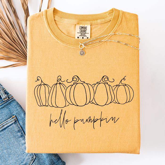 Hello Pumpkin Minimalist Thanksgiving Autumn Fall Floral Pumpkin Brush Stroke Comfort Colors Tee