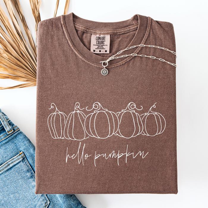 Hello Pumpkin Minimalist Thanksgiving Autumn Fall Floral Pumpkin Brush Stroke Comfort Colors Tee