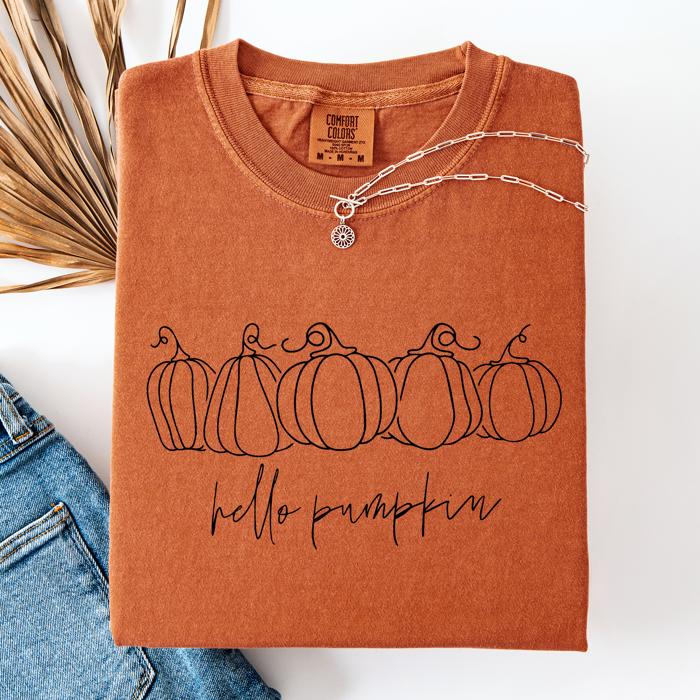 Hello Pumpkin Minimalist Thanksgiving Autumn Fall Floral Pumpkin Brush Stroke Comfort Colors Tee