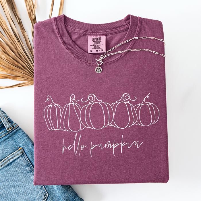 Hello Pumpkin Minimalist Thanksgiving Autumn Fall Floral Pumpkin Brush Stroke Comfort Colors Tee
