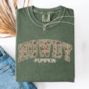  Howdy Pumpkin Fall Brush Stroke Floral Pumpkin Frame Vintage Varsity Collegiate Autumn Graphic Comfort Colors Tee