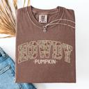 Medium Espresso Brown Howdy Pumpkin Fall Brush Stroke Floral Pumpkin Frame Vintage Varsity Collegiate Autumn Graphic Comfort Colors Tee